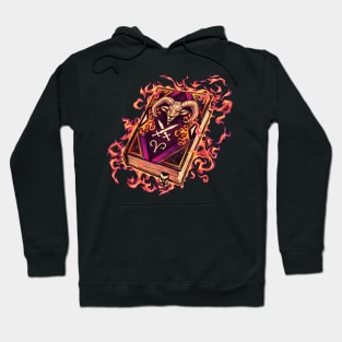 Zodiac Grimoire - Type Aries Hoodie